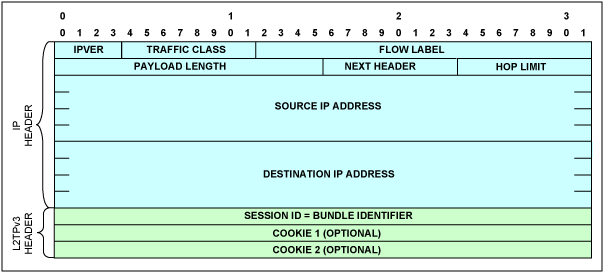 图9. L2TPv3/IPv6报头