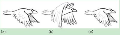 图11：自适应3D梳状滤波器依赖解码器来正确检测图像移动。这是鸟舞动翅膀的正常顺序-向下(a)，向上(b)，再向下(c)。