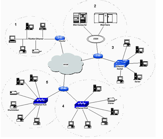 虚拟局域网(VLAN)\/VLAN的组成结构是什么?
