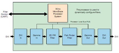 小丑鱼探测器控制平面/数据平面系统