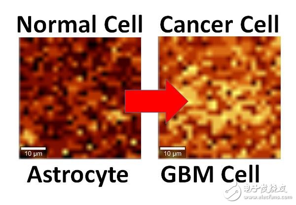 石墨烯未来还能用于发现癌症细胞,果然是万能材料