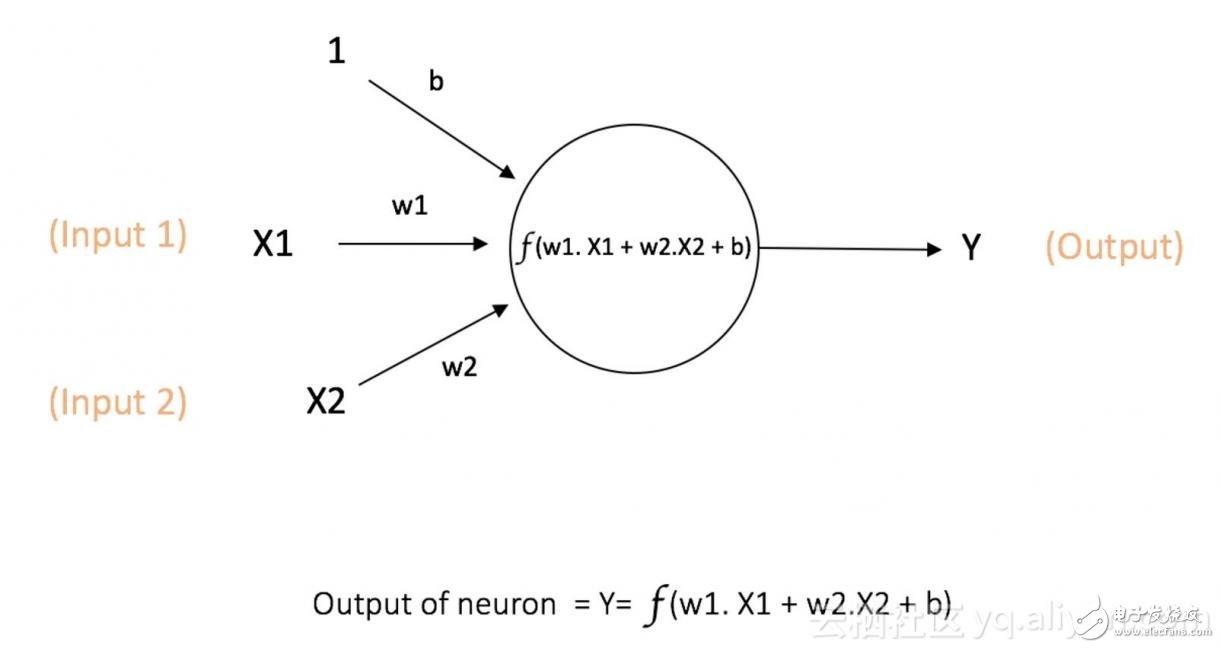 图 1：单个神经元