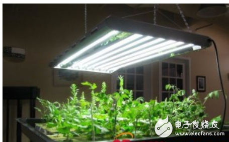 led植物生长灯有用吗
