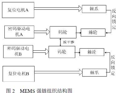 MSMS 强链 结构图