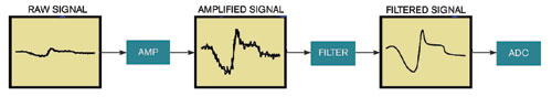 图2传感器的信号路径中包括放大器滤波器和ADC