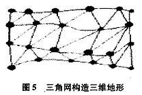 Delaunay三角网的构网规则生成三角网