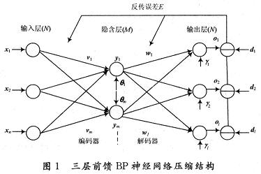 三层BP神经网络结构