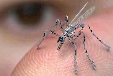 无人机日臻成熟 美打造“昆虫机器人部队”