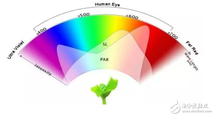 LED植物生长灯的色温与流明及光谱范围对植物生理的影响介绍